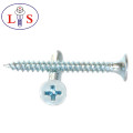 Anti-Theft Screw/Security Screw with High Quality